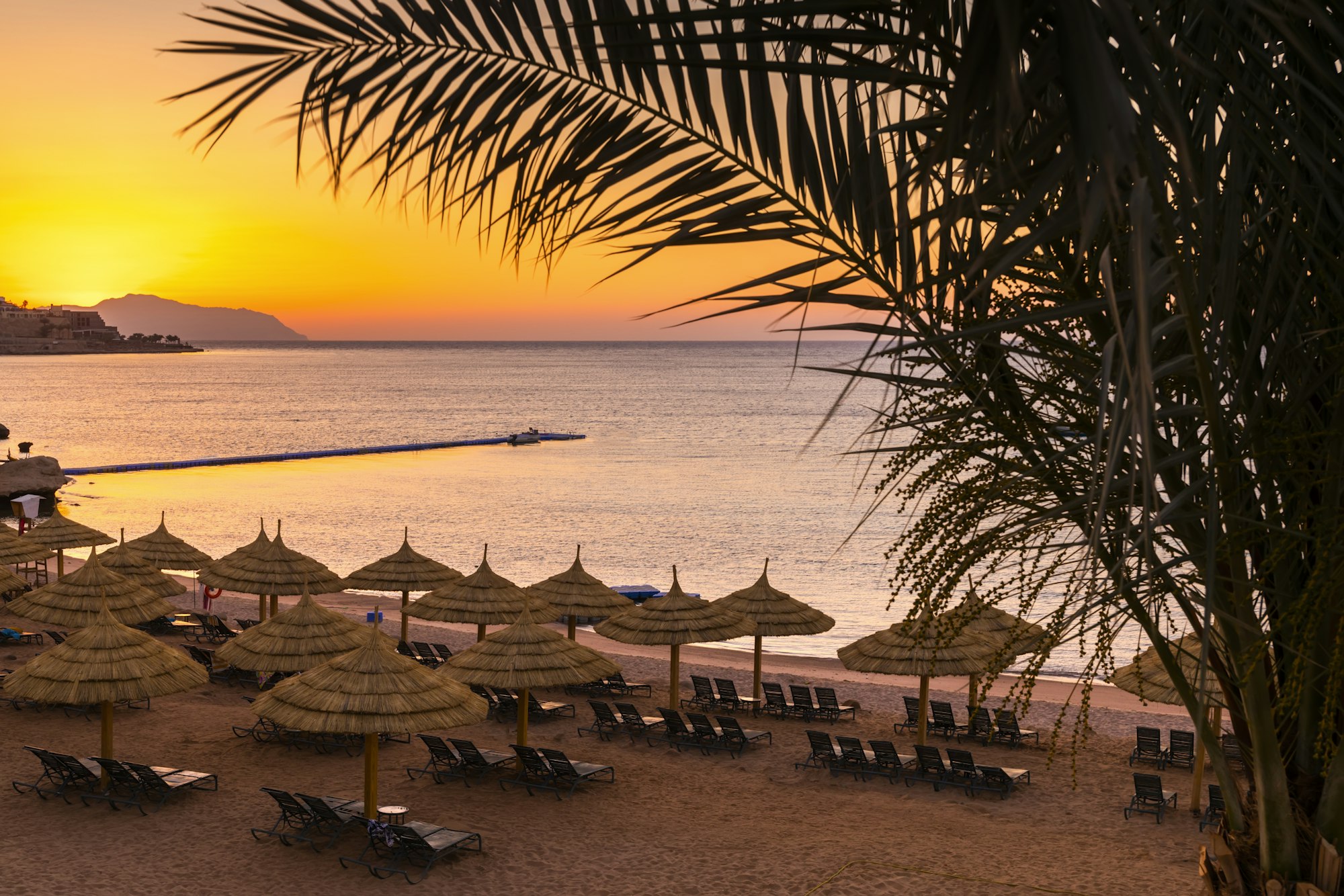 Sunset at the beach with palm trees, parasols and sunbeds.